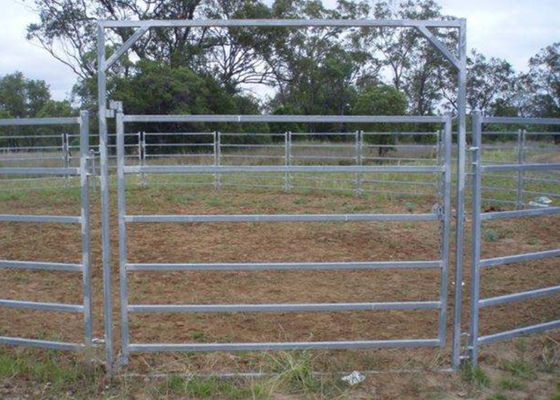 Schienen-Stahlvieh Australien-Standard-6 zäunt ovale Metallviehbestand-Zaun-Platten der Schienen-40x80 ein